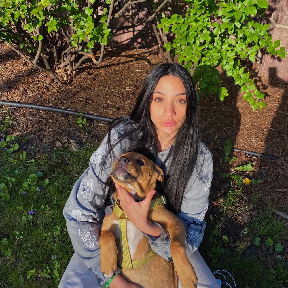 Meet your Posher, Gia
